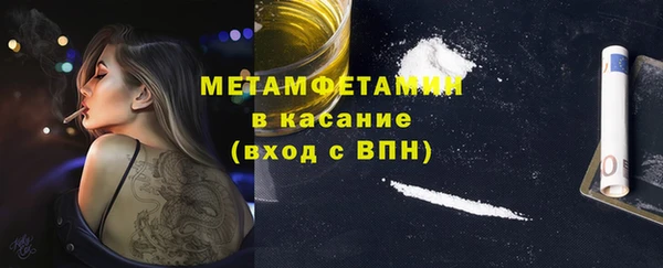 молекула духа Богданович