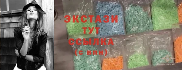 молекула духа Богданович