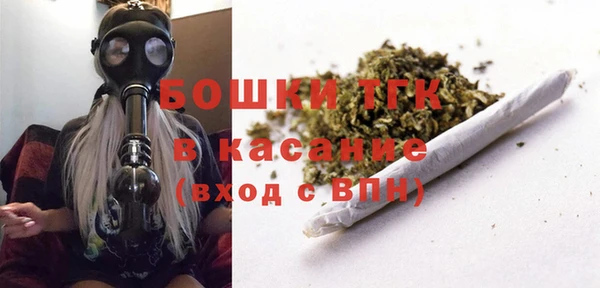 гидра Фёдоровский