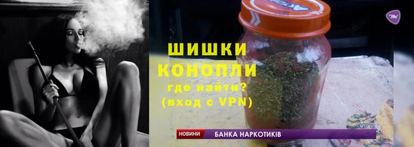 молекула духа Богданович