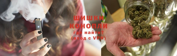 молекула духа Богданович
