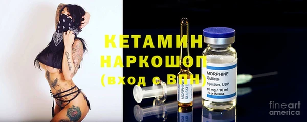 молекула духа Богданович