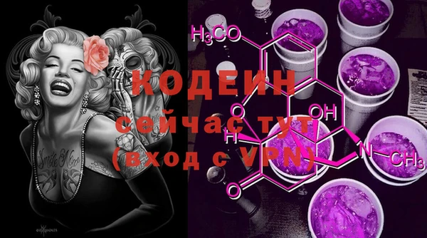 молекула духа Богданович