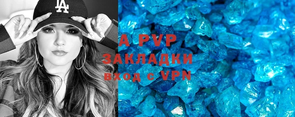 молекула духа Богданович
